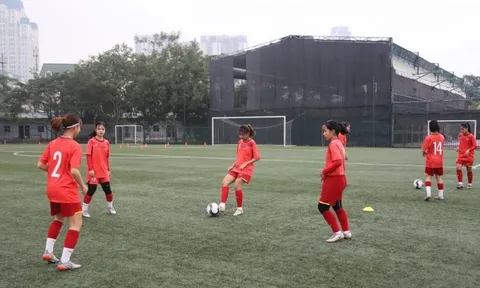 VFF 'gật đầu' đồng ý lời mời giao hữu từ LĐBĐ Nhật Bản