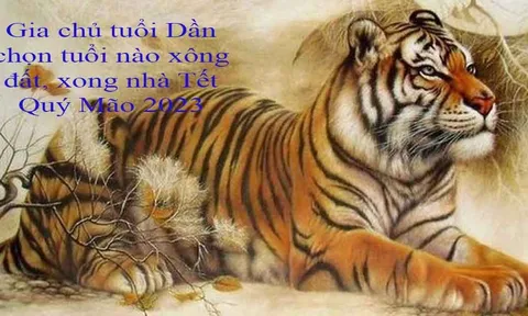Xem tuổi xông đất cho gia chủ tuổi Dần Tết Quý Mão năm 2023