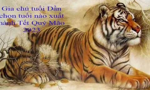 Gia chủ tuổi Dần xuất hành hướng nào trong Tết Nguyên đán Quý Mão 2023 là tốt nhất?