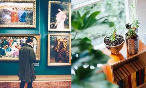 Dọn ngay 3 vật hay đặt trong phòng khách này để bảo vệ sức khỏe, tài vận