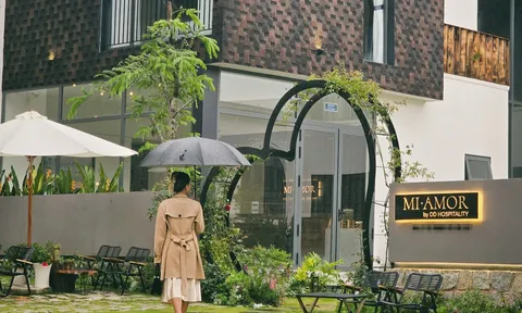 Bỏ túi bí kíp vi vu Đà Lạt mùa mưa