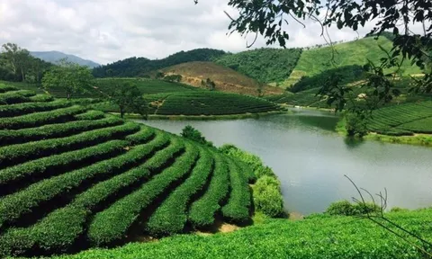 Nghệ An thúc đẩy du lịch "4 mùa": Từ quê Bác đến biển, núi và lễ hội