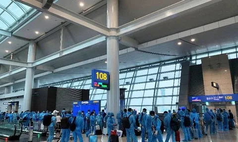 313 công dân Việt Nam tại Hàn Quốc được đưa về nước