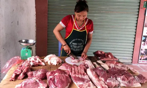 Giá lợn hơi bất ngờ "lao dốc", dân buôn kêu ế ẩm