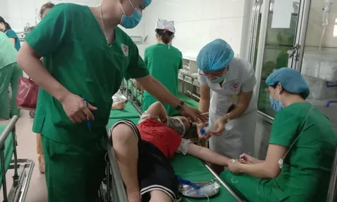 Ném dép vào tổ ong, 16 học sinh tiểu học nhập viện