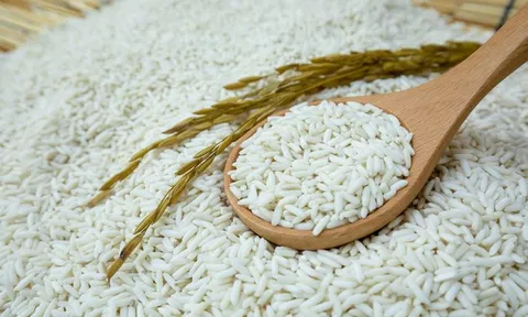 Bộ Công Thương ra công văn hỏa tốc xin ý kiến xuất khẩu gạo nếp
