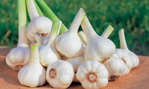 5 thực phẩm giúp ngăn ngừa ung thư vú