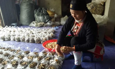 Hành trình 11 năm long đong tìm thầy, tìm thuốc để có con