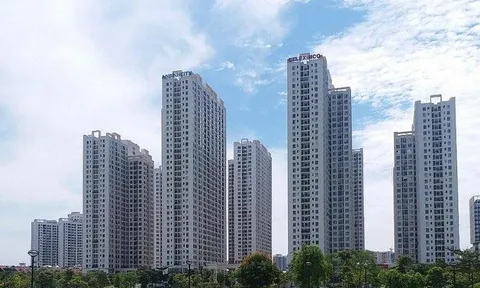 Giá căn hộ chung cư tại TP. HCM tiếp tục tăng