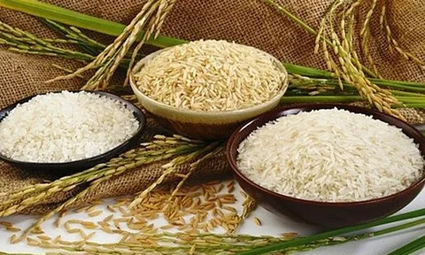 Giá gạo hôm nay 7/7: Tăng nhẹ ở một số chủng loại