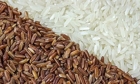 Giá gạo hôm nay 8/7: Tăng nhẹ vào phiên sáng