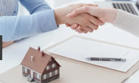 Hợp đồng chuyển nhượng quyền sử dụng đất vô hiệu khi nào?