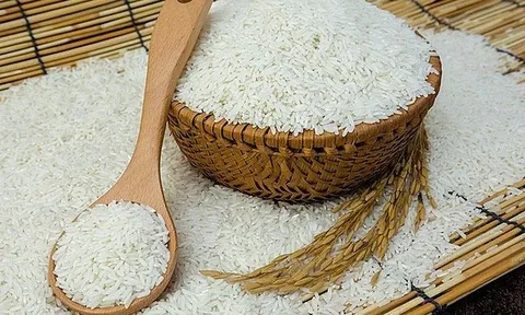 Giá gạo hôm nay 21/7: Giảm nhẹ ở một số loại