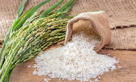 Giá gạo hôm nay 25/7: Trầm lắng ngày cuối tuần