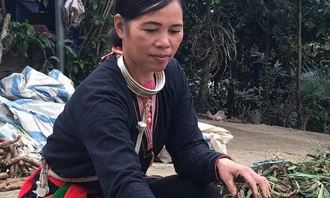 Bài thuốc giúp vận hành khí huyết khỏi tê bì, nhức mỏi các khớp