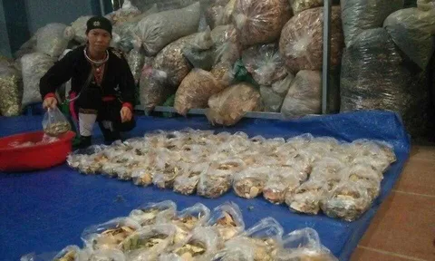 Kỳ 3: Nữ bác sĩ khỏi bệnh xương khớp nhờ y lý liên hoàn của “thần y” Tản Viên Sơn