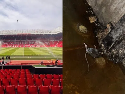 Chuột chết xuất hiện tại Old Trafford, người hâm mộ phẫn nộ