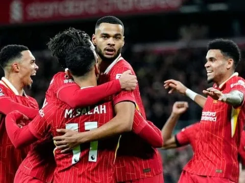 6 điểm đáng chú ý trận Newcastle vs Liverpool: Mưa bàn thắng; 15 lần bất bại