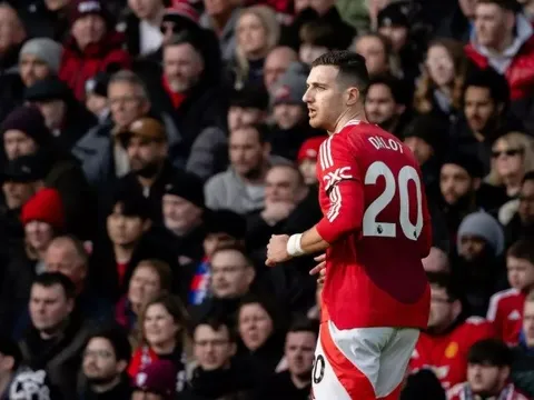 CĐV M.U: "Làm sao một người có chỉ số IQ thấp như vậy lại được chơi cho United?"
