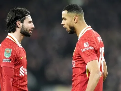 Cody Gakpo nêu bật yếu tố giúp Liverpool thắng Tottenham