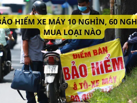 Bảo hiểm xe máy 10 nghìn và 60 nghìn khác gì nhau? Mua loại nào thì CSGT không xử phạt, ai cũng phải biết