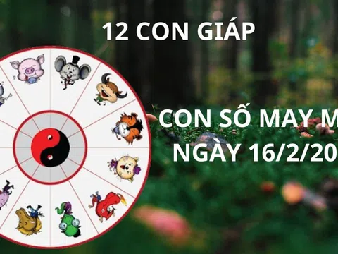 Tử vi ngày 16/2 con số may mắn hút vàng hút bạc cho 12 con giáp gặp thời giàu sang đỉnh nóc kịch trần