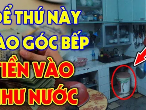 Bếp là nơi 'tụ tài': 3 vật để lâu càng vượng, 2 thứ vứt ngay kẻo Tiền Tài khánh kiệt