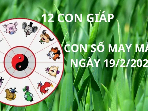 Tử vi ngày 19/2 con số may mắn cho 12 con giáp nhận lộc tổ tiên qua đêm trúng lớn đổi vận giàu sang