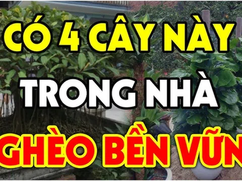 4 loại cây hút Âm Khí: Trồng trước nhà cây càng xanh tươi người càng hao tài, khánh kiệt: Đó là cây gì?