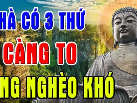 Các cụ dặn kỹ: Trong nhà 3 thứ này càng to càng dễ đau ốm, khánh kiệt, cái gì to mà đáng sợ vậy?