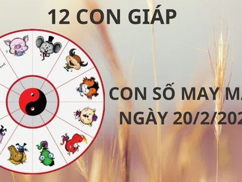 Tử vi ngày 20/2 con số may mắn cho 12 con giáp tiền vào như nước, giàu sụ bất ngờ