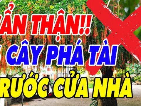 Trước cửa có 5 cây ác, cây càng xanh tươi gia chủ càng khánh kiệt, 5 cây đó là gì?