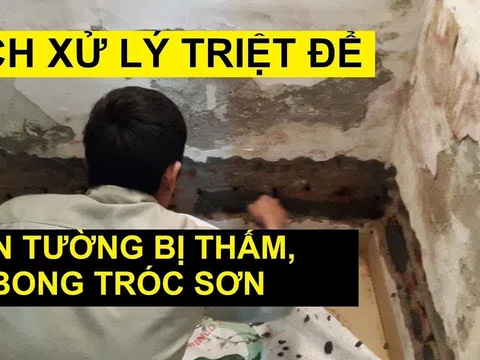 Tường nhà lâu ngày bong tróc mốc đen, phồng rộp, xoa thứ này lên là hết sạch ngay