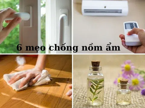 Trời nồm ẩm làm ngay mẹo sau để nhà cửa khô ráo, thoáng mát hơn