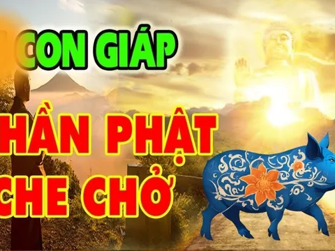 3 con giáp may mắn có Phật Bà bảo vệ, cả đời gặp Hung sẽ hóa Cát Lành