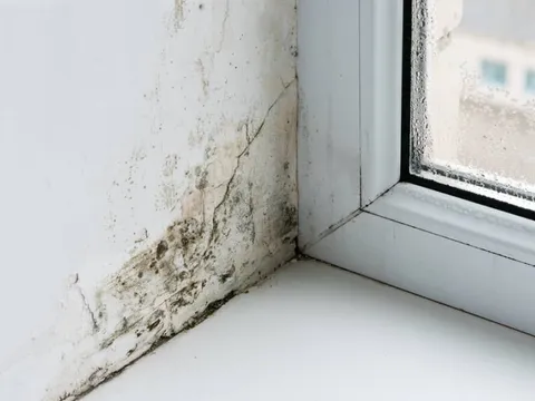 Mẹo xử lý tường nhà mốc lở, bong tróc: Đơn giản không tốn tiền, nhà nào cũng làm được