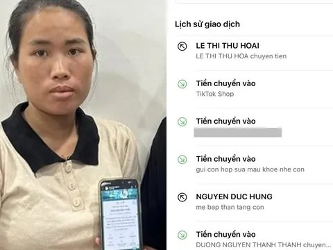 Mẹ bé Bắp bất ngờ tung "sao kê online" lúc nửa đêm, giải thích lý do chưa thể về Việt Nam trong 4 tháng tới