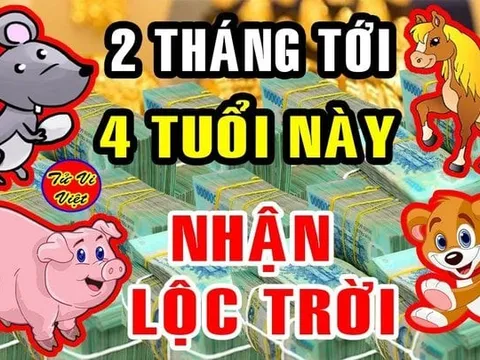 Qua đêm nay: 3 tuổi Cô Thương, Cậu Độ Tiền - Tài -Danh tăng phi mã, đến tiền mỏi tay trong 2 tháng tới