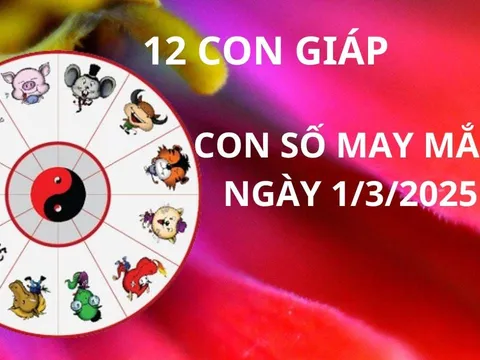 Tử vi ngày 1/3 con số may mắn Thần tài ban lộc đầu tháng cho 12 con giáp, gặp vận đổi đời giàu sang