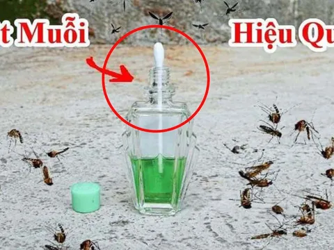 Cắm bông tăm vào lọ dầu gió: Công dụng tuyệt vời ngày nồm ẩm ai cũng thích