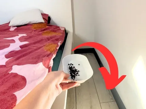 Vì sao người thông minh thường đặt một nắm hạt tiêu dưới gầm giường?