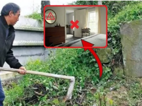 3 không trồng trước mộ, 4 không để trên giường: Tổ Tiên nói đó là cây gì, vật gì?