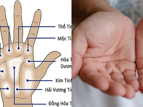 Người nào sở hữu đường chỉ tay kiểu này sẽ định sẵn số giàu sang, sống an nhàn, viên mãn