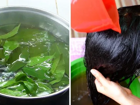 Lấy nắm lá này đun nước gội đầu, tóc con mọc lên tua tủa, xanh đen óng ả