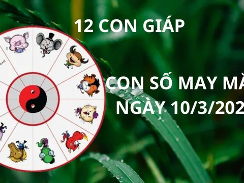 Tử vi ngày 10/3 con số may mắn Thần tài ban lộc, 12 con giáp nhanh chân gặp thời giàu sang bất ngờ