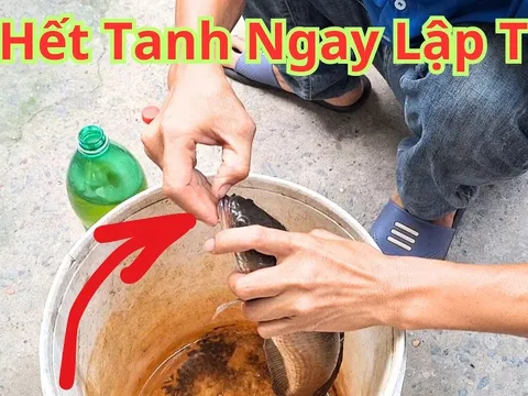 Kho bất kỳ loại cà nào chỉ cần ngâm qua thứ nước này: Cá hết sạch mùi tanh, thơm ngon chắc thịt