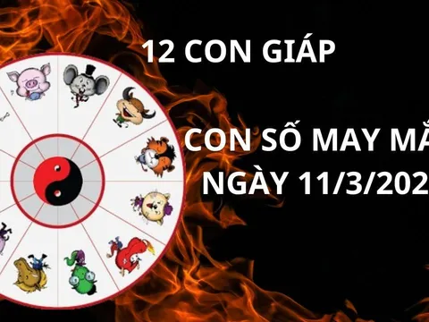 Tử vi ngày 11/3 con số may mắn cho 12 con giáp nhận vàng hốt bạc đổi đời giàu sang