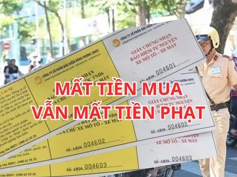 Chú ý mua bảo hiểm xe máy mà không làm việc này sẽ bị CSGT xử phạt như chưa mua, ai cũng phải biết