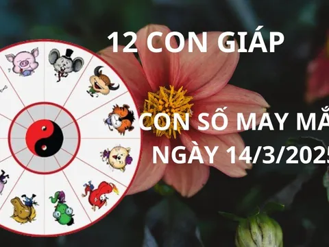 Tử vi ngày 14/3 con số may mắn Thần tài ban lộc cho 12 con giáp gặp thời đổi vận giàu sang