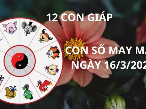 Tử vi ngày 16/3 con số may mắn cho 12 con giáp được thời hốt vàng nhặt bạc nhà trời về nhà